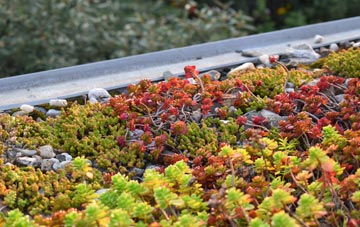 the cost of Cheriton Or Stackpole Elidor green roof installation