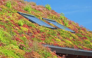 Cheriton Or Stackpole Elidor living roof systems