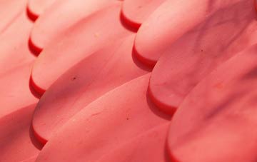 Cheriton Or Stackpole Elidor plastic roof costs