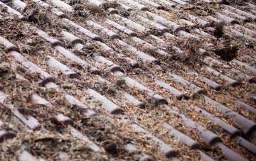 Cheriton Or Stackpole Elidor roof cleaning companies