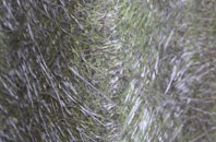 Cheriton Or Stackpole Elidor fibreglass roof work